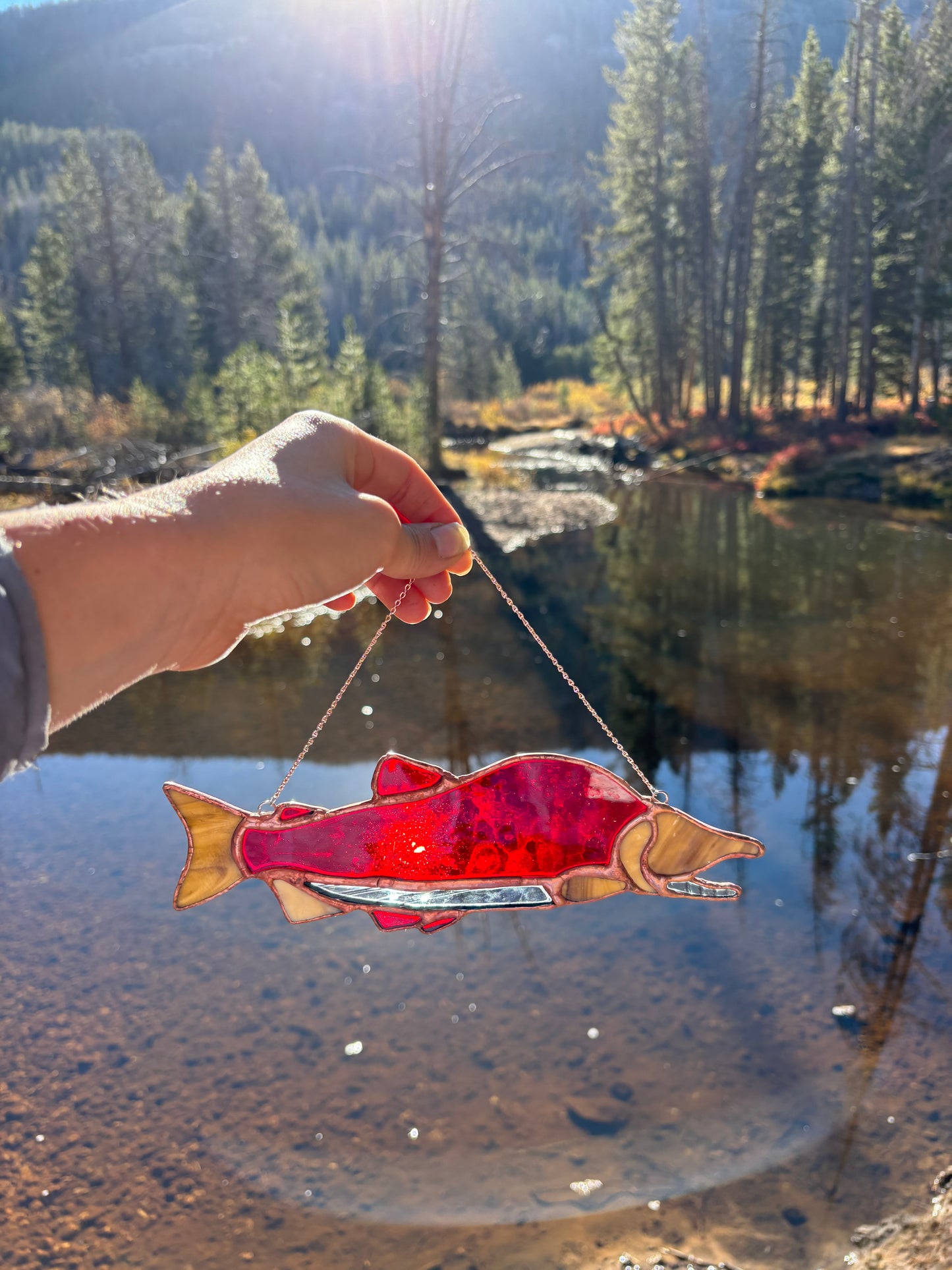 Kokanee Salmon