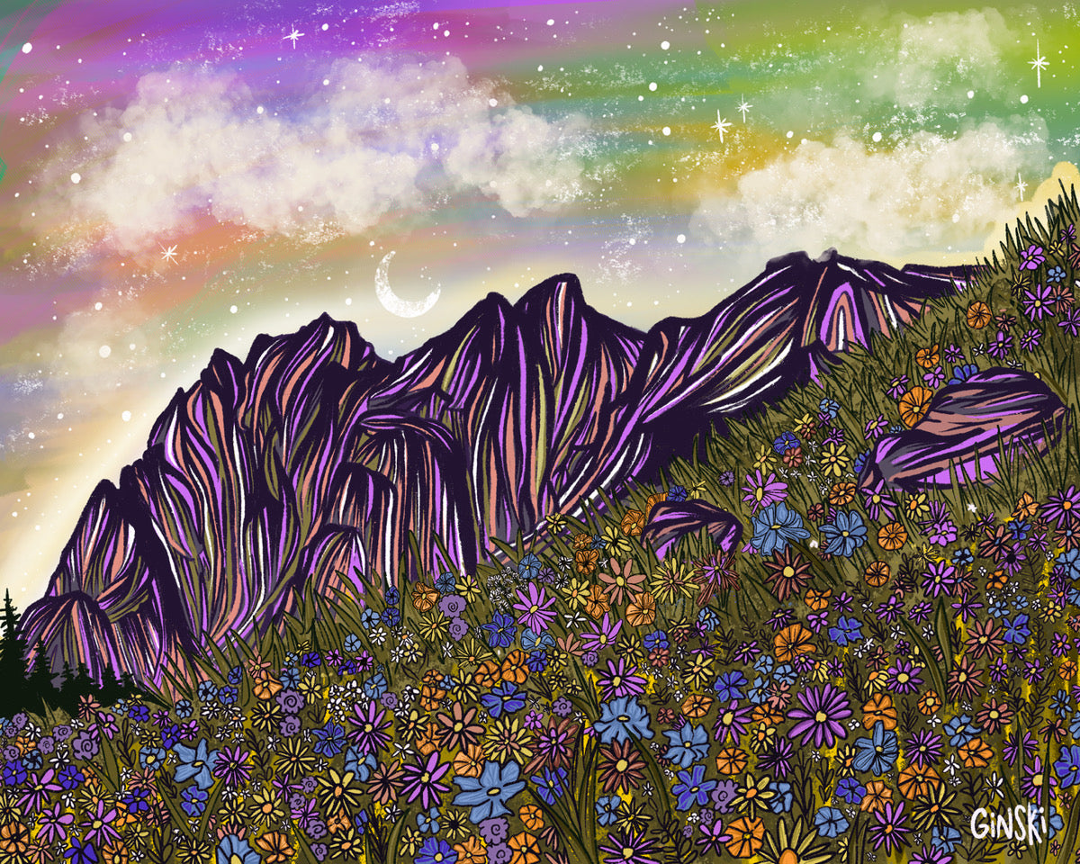 Mount Superior Wildflowers