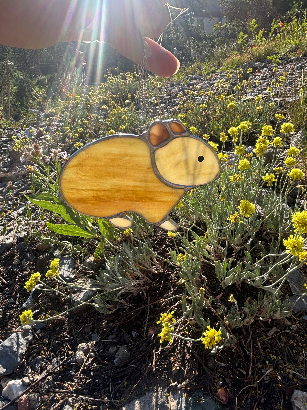 Pika