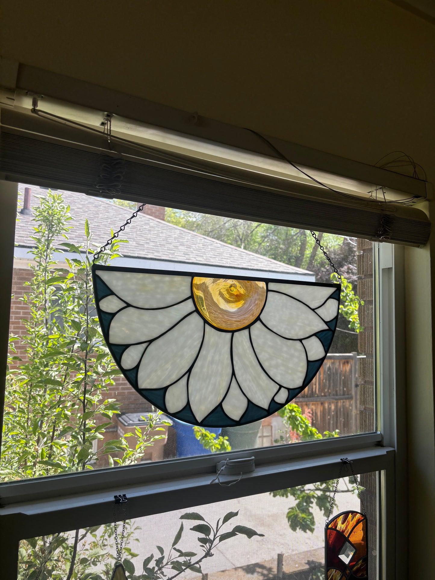 Half Round Daisy