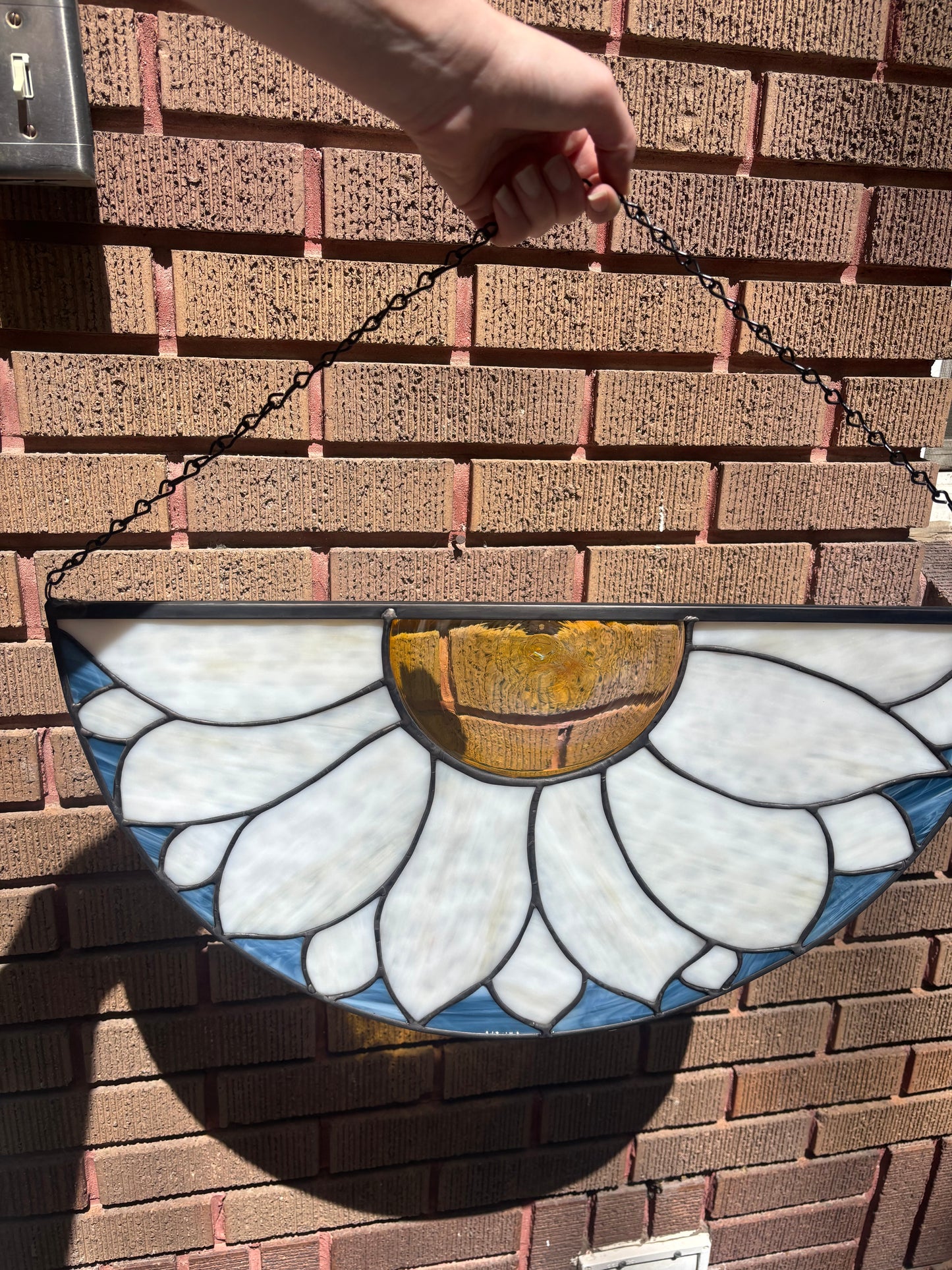 Half Round Daisy