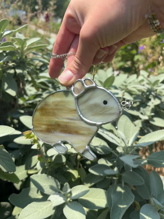 Pika